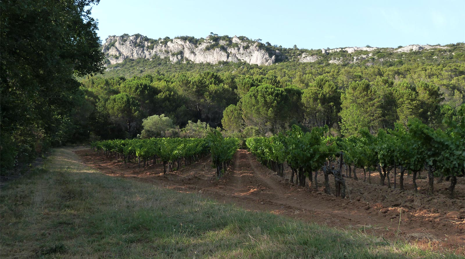 The pool - Domaine des Eissartenes